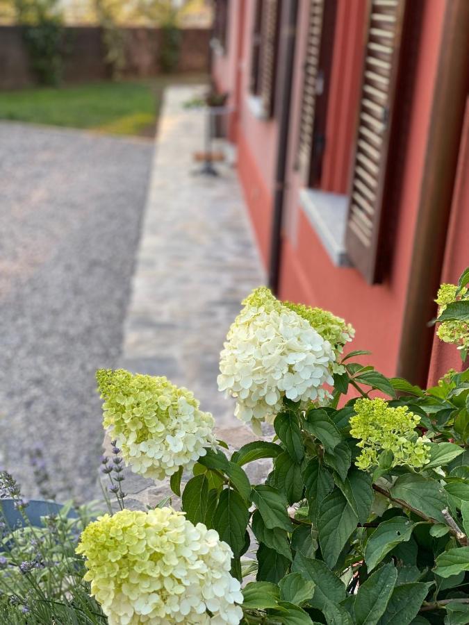 Il Mallo Verde - Lake Como B&B マンデッロ・デル・ラーリオ エクステリア 写真