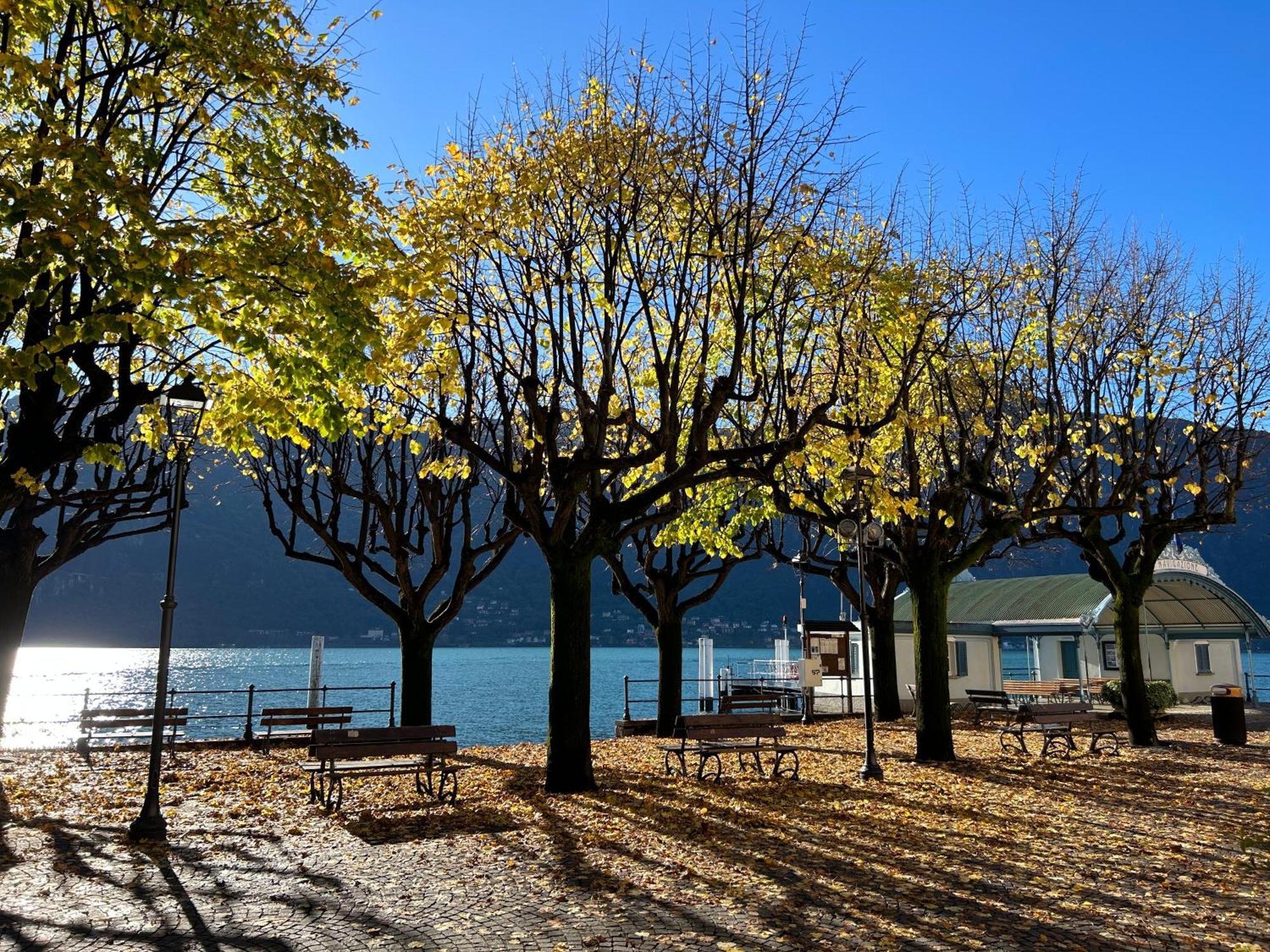 Il Mallo Verde - Lake Como B&B マンデッロ・デル・ラーリオ エクステリア 写真