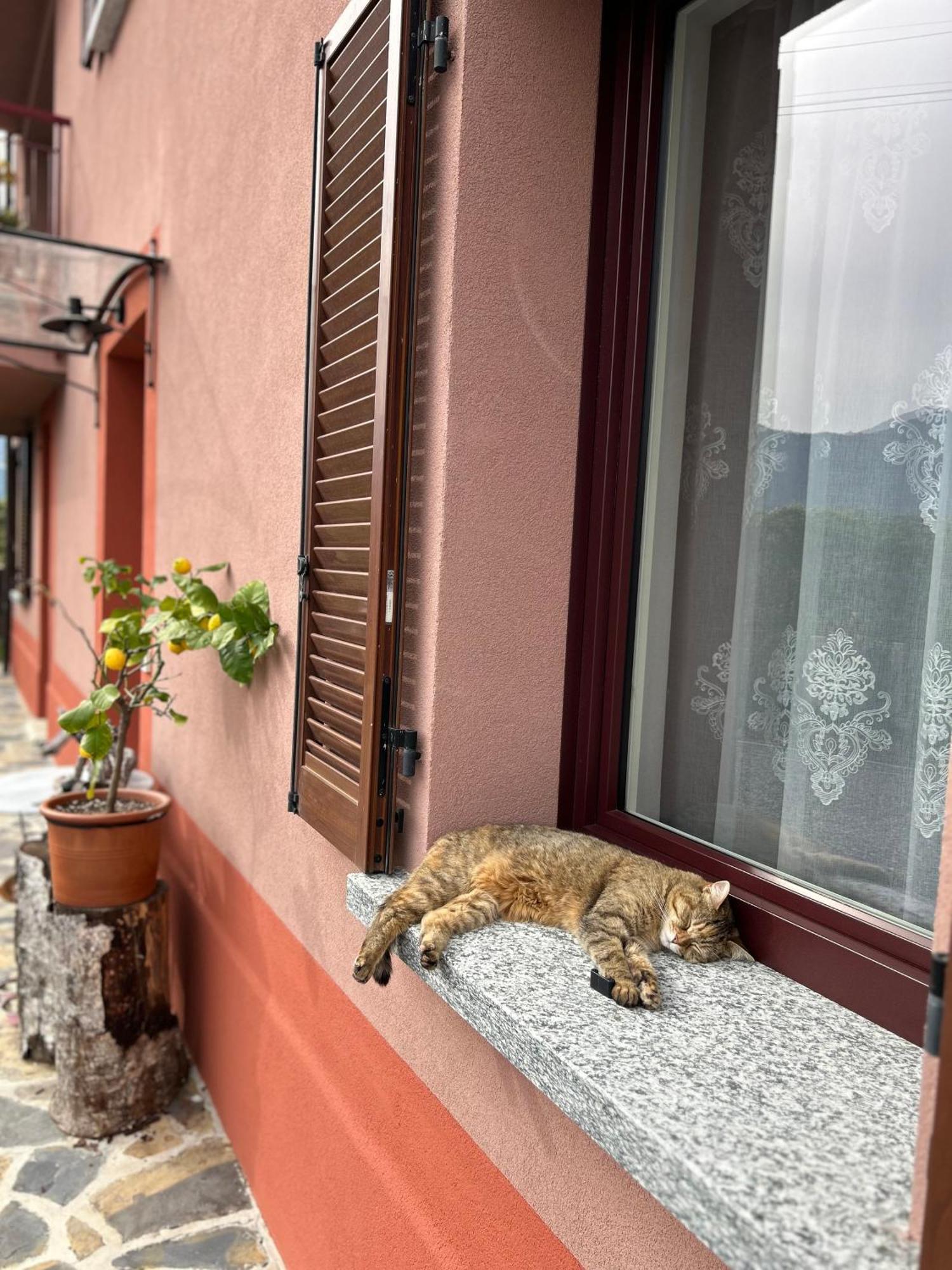 Il Mallo Verde - Lake Como B&B マンデッロ・デル・ラーリオ エクステリア 写真